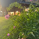 Mecenasowka *