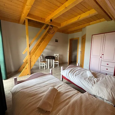 Villa Mecenasówka *